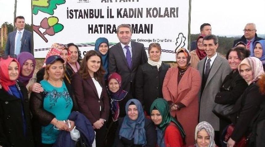 Ak Parti&rsquo;li Temurci: &ldquo;d&uuml;nyadaki Her Bir İnsan İ&ccedil;in 7 Milyar Fidan Hedefliyoruz&rdquo;