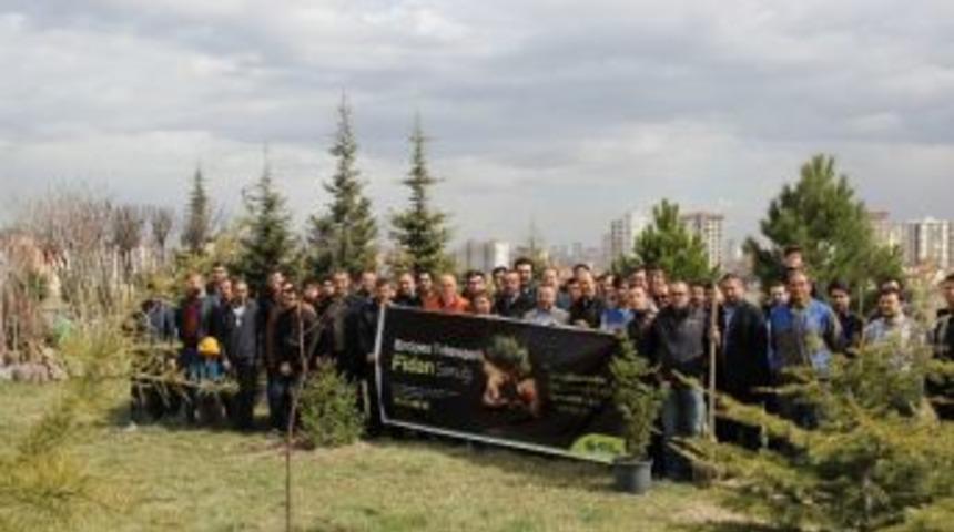 Erciyes Teknopark Yeşilleniyor