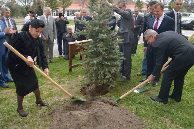 Vali Civelek Z Kütüphanesinin Açılış Törenine Katıldı