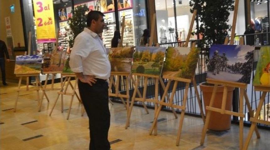 Doğa Ve Ormanın T&uuml;m G&uuml;zellikleri Sergilendi