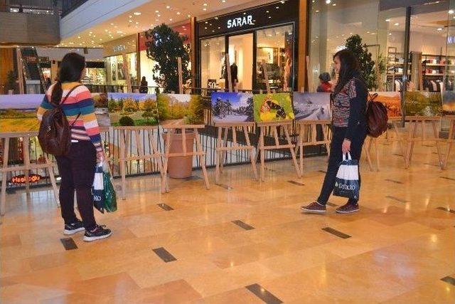 Doğa Ve Ormanın T&uuml;m G&uuml;zellikleri Sergilendi 1