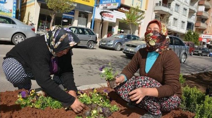 Kilis &Ccedil;i&ccedil;eklerle Bezeniyor