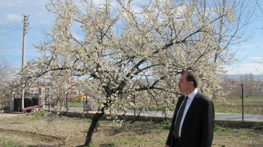 &Uuml;reticiyi Don Ve Kırağı Vurdu