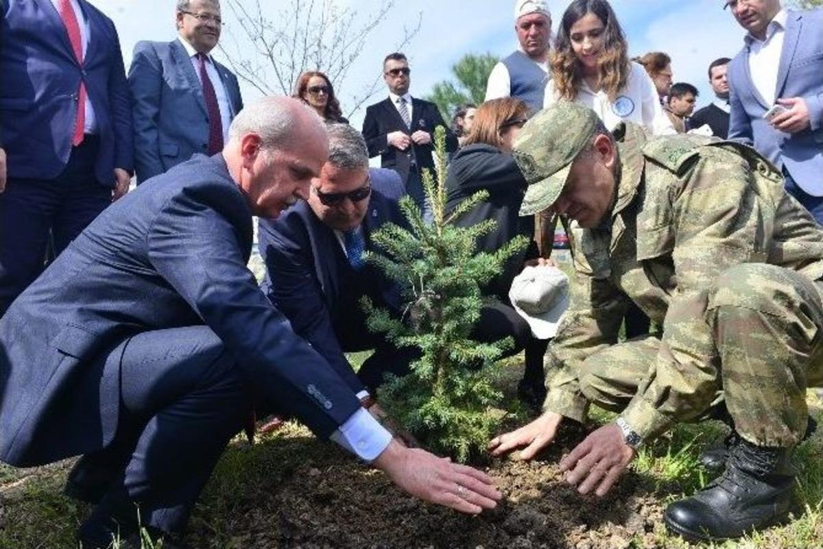 Manisalı Şehit Ve Gazi 352 Kişi İ&ccedil;in Fidan Dikildi