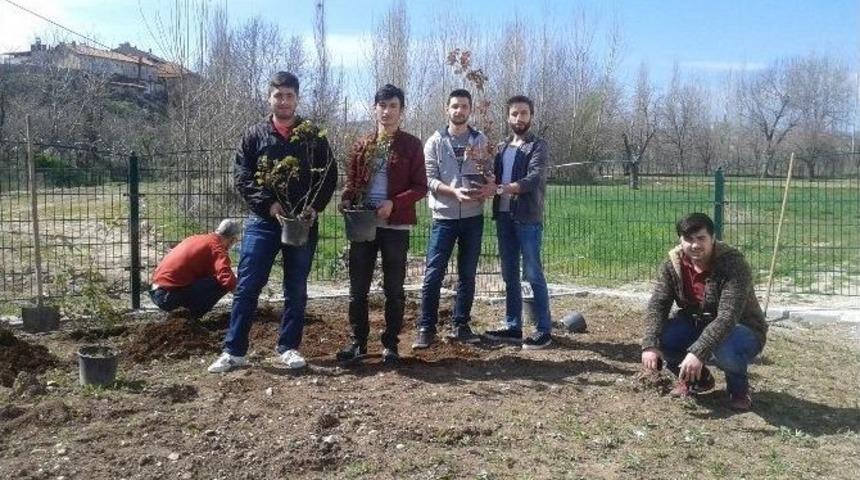 Hisarcık Myo Bah&ccedil;esine G&uuml;l Dikildi