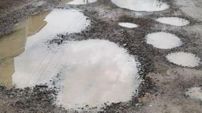 Dalaman&rsquo;da Sokak Sakinleri Hizmet Bekliyor