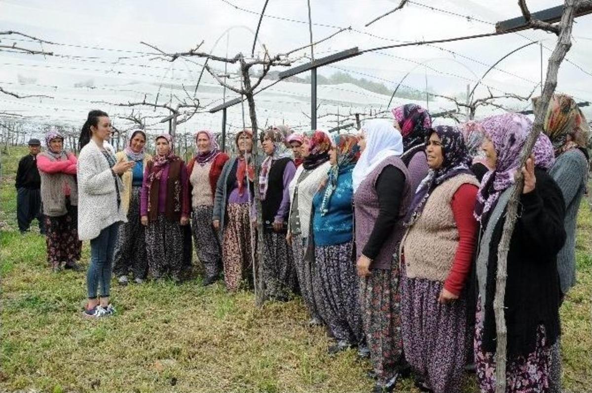 Kırsaldaki Ekonomiye Kurs Desteği