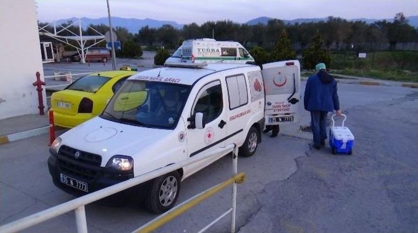 Organlarıyla 6 Kişiyi Hayata Bağladı