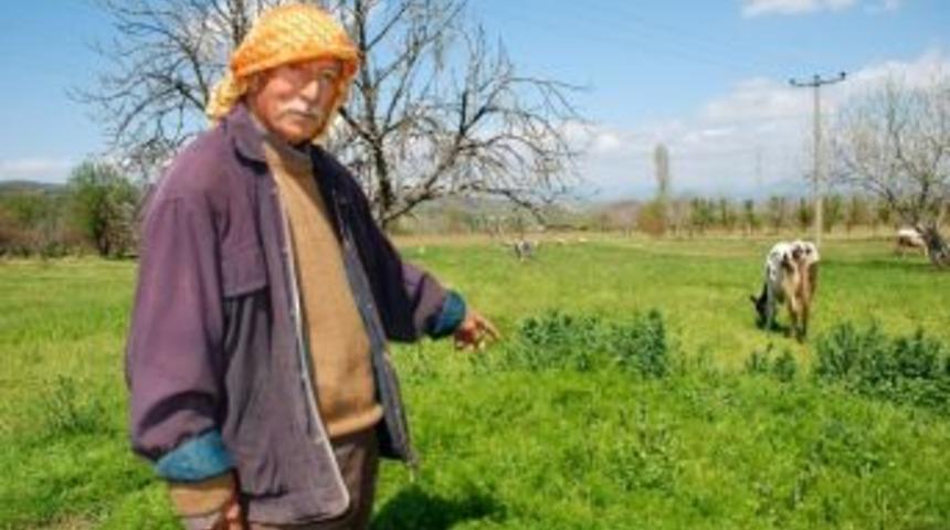 Tire&rsquo;ye 8 Yıl &Ouml;nce Ufo D&uuml;şt&uuml; İddiası