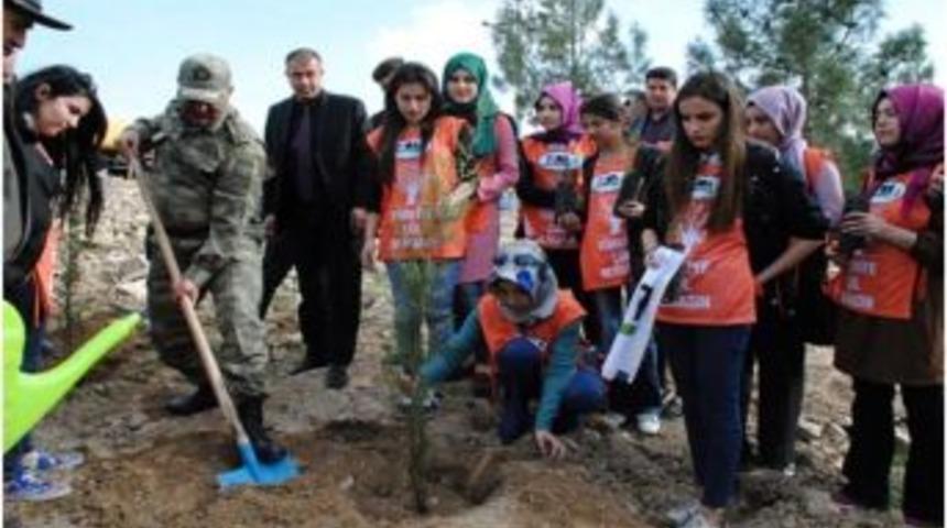 Kilis&rsquo;te Jandarma, K&ouml;y Korucuları Ve &Ccedil;evrecilerle Birlikte Fidan Dikti