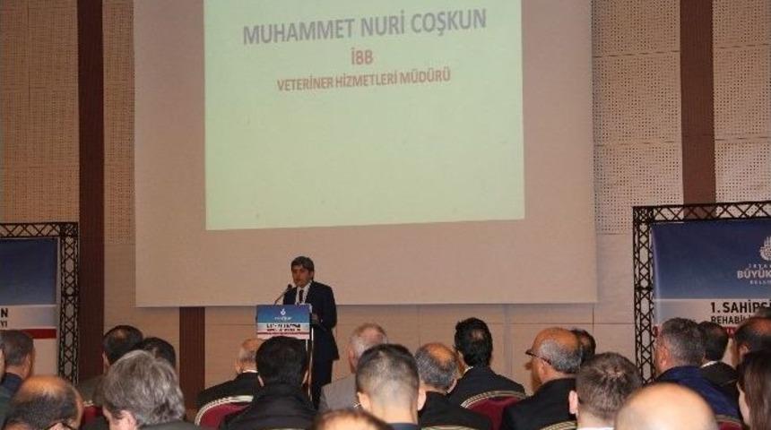 Hayrettin Yıldırım: "t&uuml;rkiye&rsquo;de 800 Bin Sahipsiz K&ouml;pek Olduğu Tahmin Ediliyor"