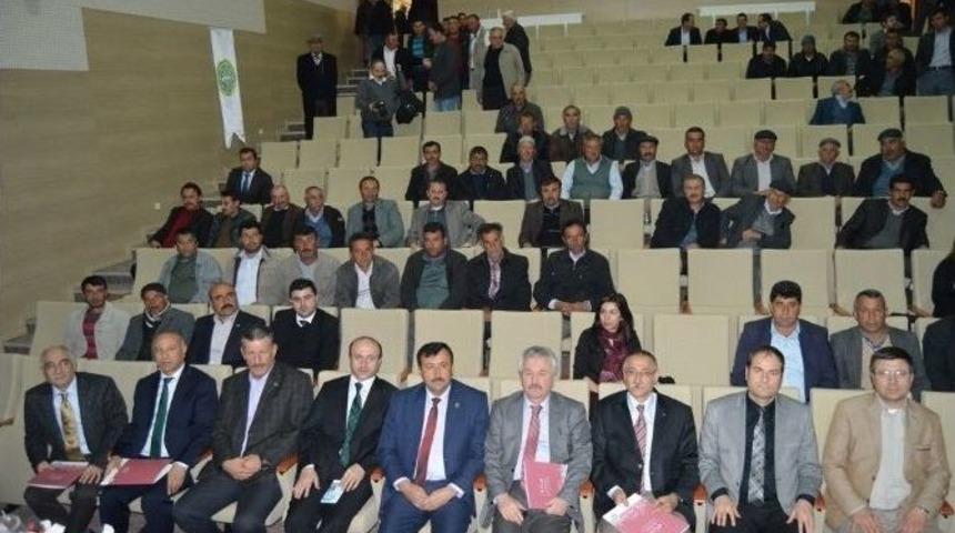 Niğde&rsquo;de Koyun Yetiştiriciliği, Besleme Ve Hastalıkları Paneli D&uuml;zenlendi