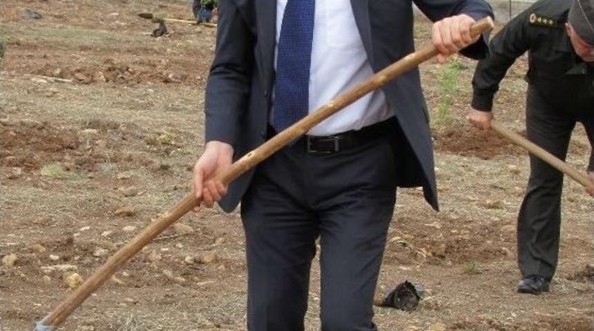 Uşak Ceza İnfaz Kurumu Bah&ccedil;esine 600 Fidan Dikildi