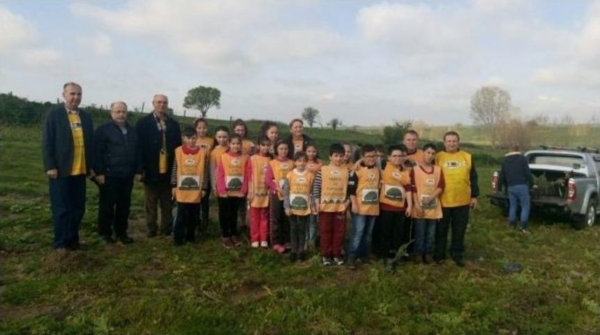 Engelsiz Sevgi Ormanına 250 Fidan Dikildi