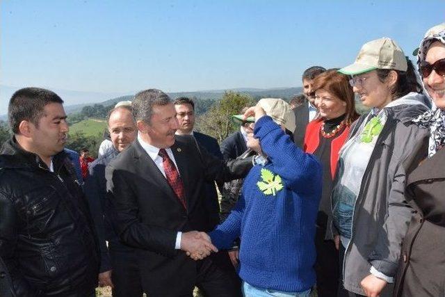 Engelsiz Manisa Ormanı &lsquo;ağa&ccedil; Kardeşliği&rsquo; İle Tamamlandı 3