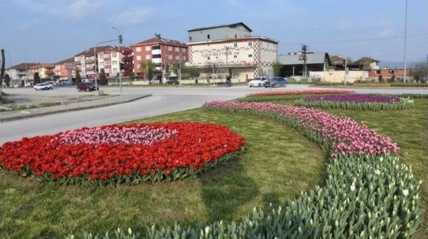 D&uuml;zce Lalelerle G&uuml;zelleşiyor