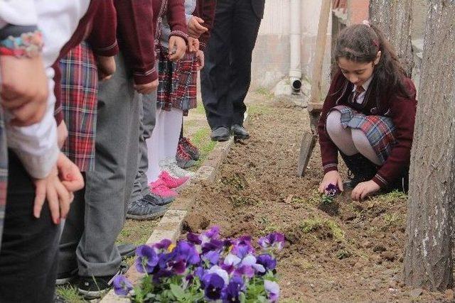 Ters Laleyi Okul Bahçesinde Yetiştirdiler