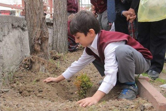 Ters Laleyi Okul Bahçesinde Yetiştirdiler