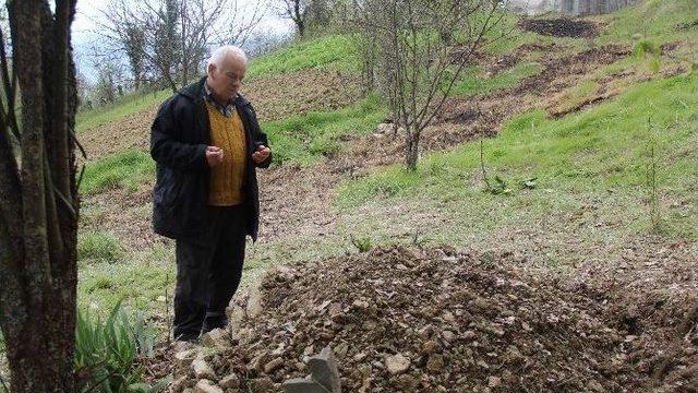 (özel Haber) Beratcan’ın Dedesi Ve Babaannesi Konuştu