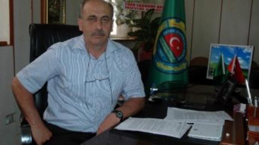 Soğuk Hava Meyve Ağa&ccedil;larını Vurdu