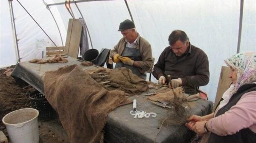 Kastamonu Obm&rsquo;den Ceviz Hamlesi