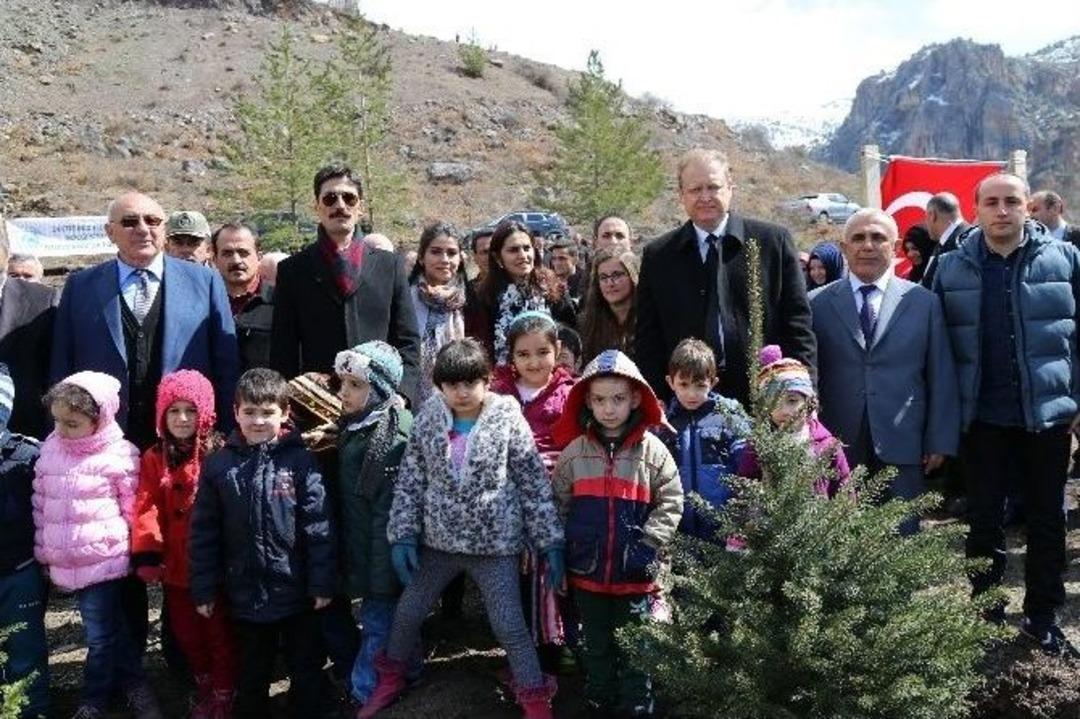 Cebeli K&ouml;y&uuml;ne 10 Bin Fidanlık Yeni Orman