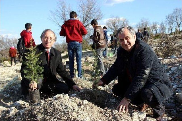 Kütahya Ak Gençlik’ten Hatıra Ormanı