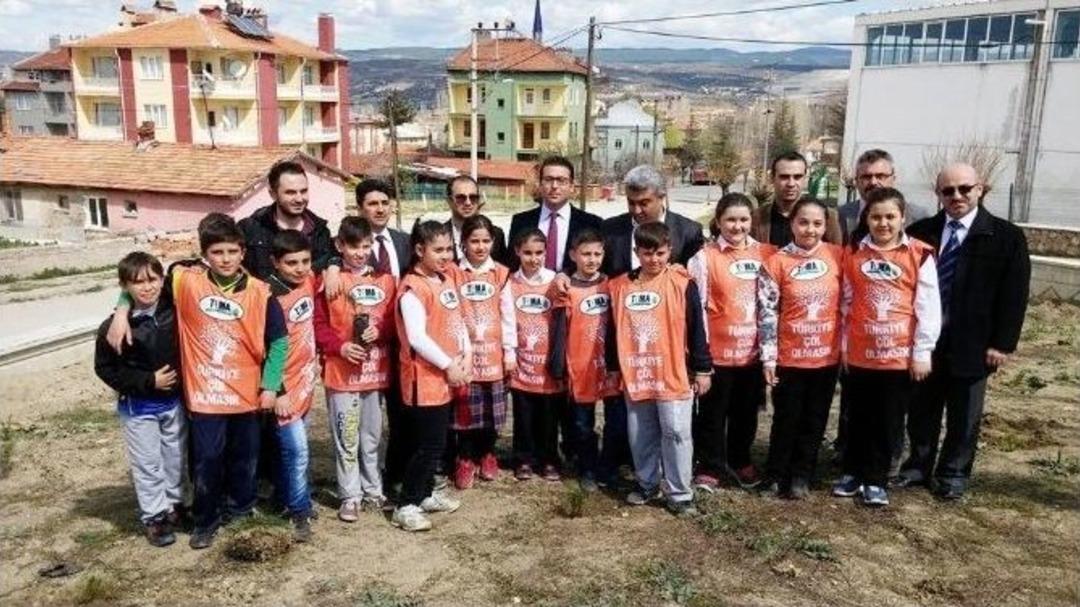 Hisarcık&rsquo;ta Fidan Dikme Etkinliği