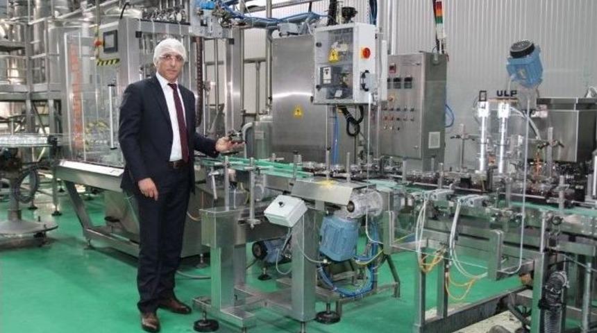 Marmarabirlik Kapasiteyi 50 Bin Tonlara Taşıyor