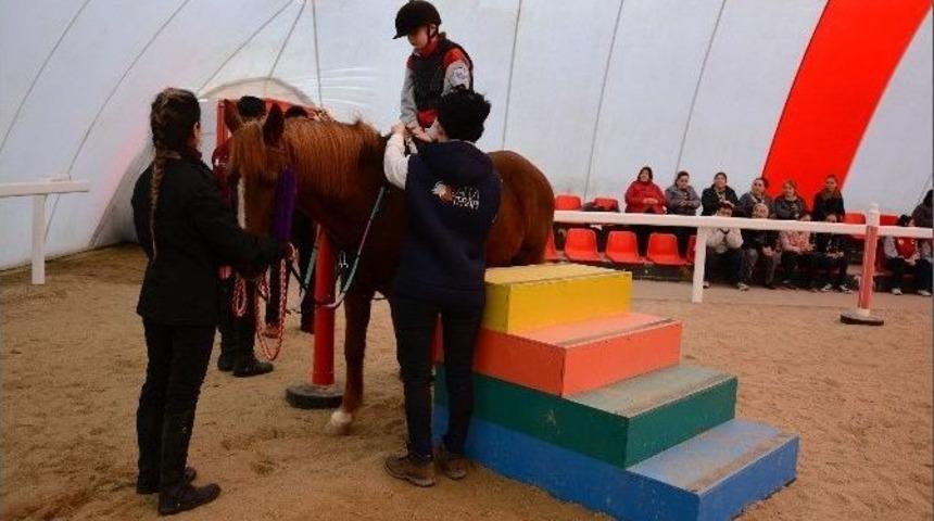 B&uuml;y&uuml;k&ccedil;ekmece&rsquo;nin Engelli İzcilerine At Terapisi