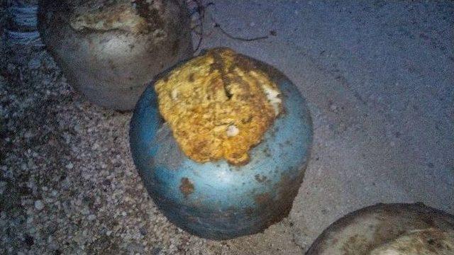 Sur&rsquo;da Faciadan D&ouml;n&uuml;ld&uuml; 1