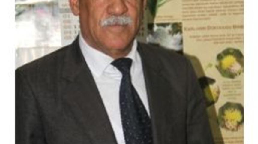 Evliyaoğlu: &rsquo;&rsquo;bahar Mevsimiyle Birlikte Arılara Gerekli Bakım Yapılmalı&rsquo;&rsquo;