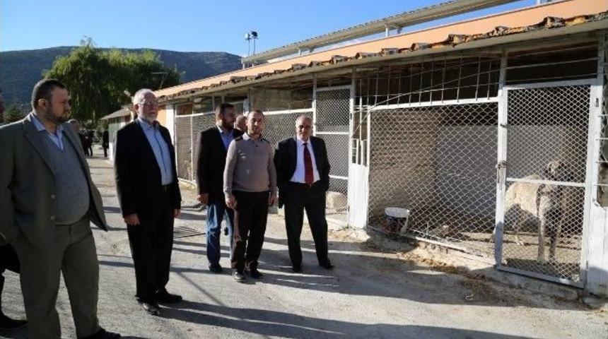 M&uuml;lteci Akademisyenler Onayını Sd&uuml; Verecek