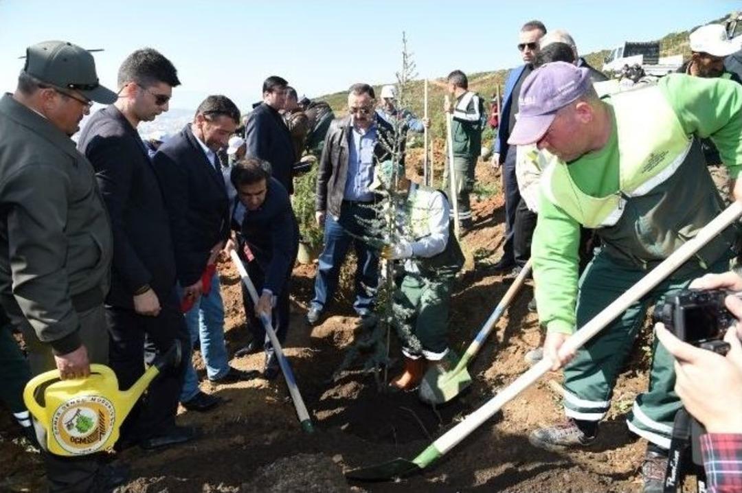 Gebze&rsquo;de Şehitler Anısına Fidan Dikimi Yapıldı