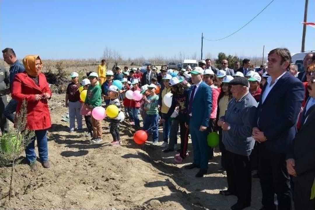 Korkuteli&rsquo;de Fidan Dikimi