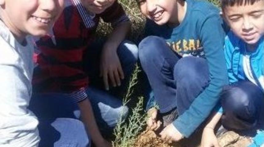 250 &Ouml;ğrenci &Ouml;demiş&rsquo;te Fidanları Toprakla Buluşturdu