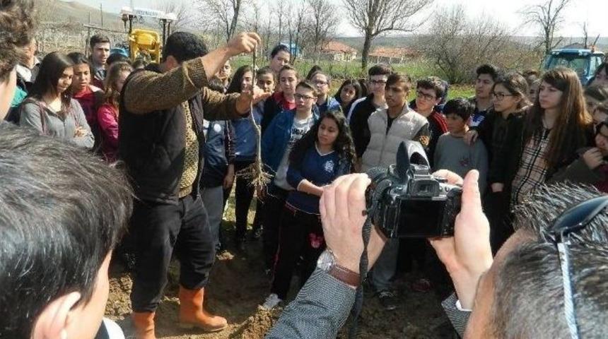 S&uuml;leymaniye&rsquo;de Ağa&ccedil; Dikim Şenliği