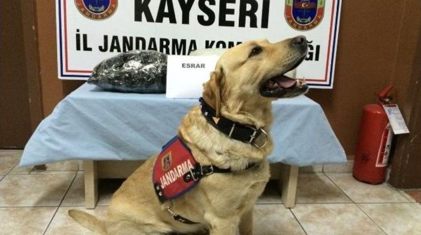 Yolcu Treninde Esrar Ele Ge&ccedil;irildi