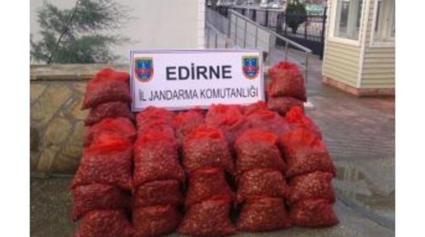 Enez&rsquo;de Midye Operasyonları Devam Ediyor