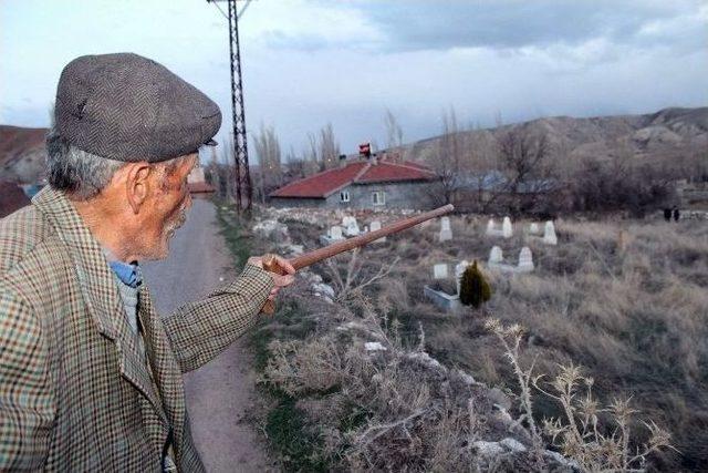 Sivas’ta Dadaloğlu’nun Mezarı Bulunduğu İddiası