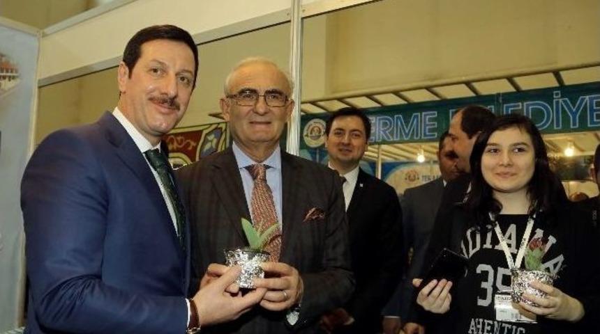 İlkadım&rsquo;dan Lale Fidesi