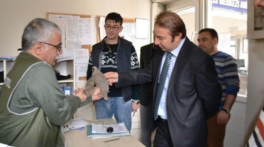 Polis Ka&ccedil;ak Keklik Avcılarını Avladı