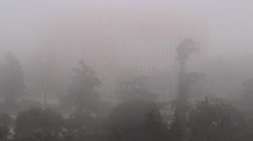 Samsun&rsquo;da G&ouml;z G&ouml;z&uuml; G&ouml;rm&uuml;yor