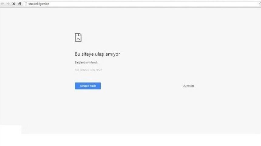 &rsquo;aslan Neferler Timi&rsquo; Bel&ccedil;ika Devlet Sitelerini Hackledi