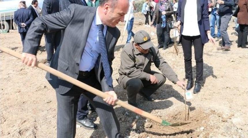 Y&uuml;ksek Okul &Ouml;ğrencileri Fidan Dikti