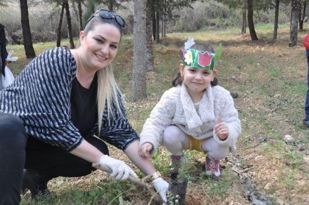 Dede Ve Nineler Torunlarıyla Fidan Dikti