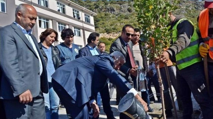 Demre&rsquo;de Fidanlar Toprakla Buluştu