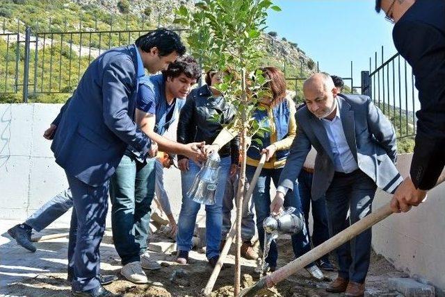 Demre’de Fidanlar Toprakla Buluştu