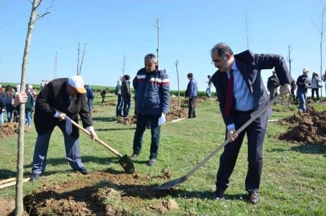 Nk&uuml;&rsquo;n&uuml;n Onuncu Yıl Anısına Fidan Dikim T&ouml;reni