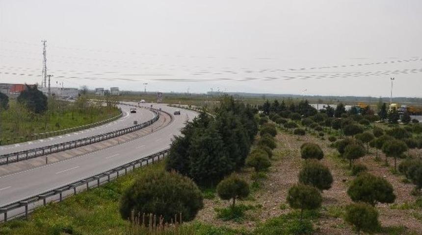 En Fazla Kazandıran Yatırım Aracı Toprak